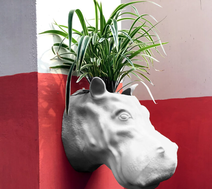 Hippo head handmade Planter, Hippopotamus mounted planter, home and living, outdoor and gardening, indoor planter, home decor, wall planter - Image 5