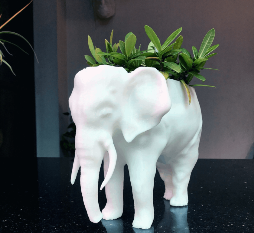 Elephant succulent planter, outdoor planter, home and living, outdoor and gardening, planters and pots, indoor planters, succulent planter,