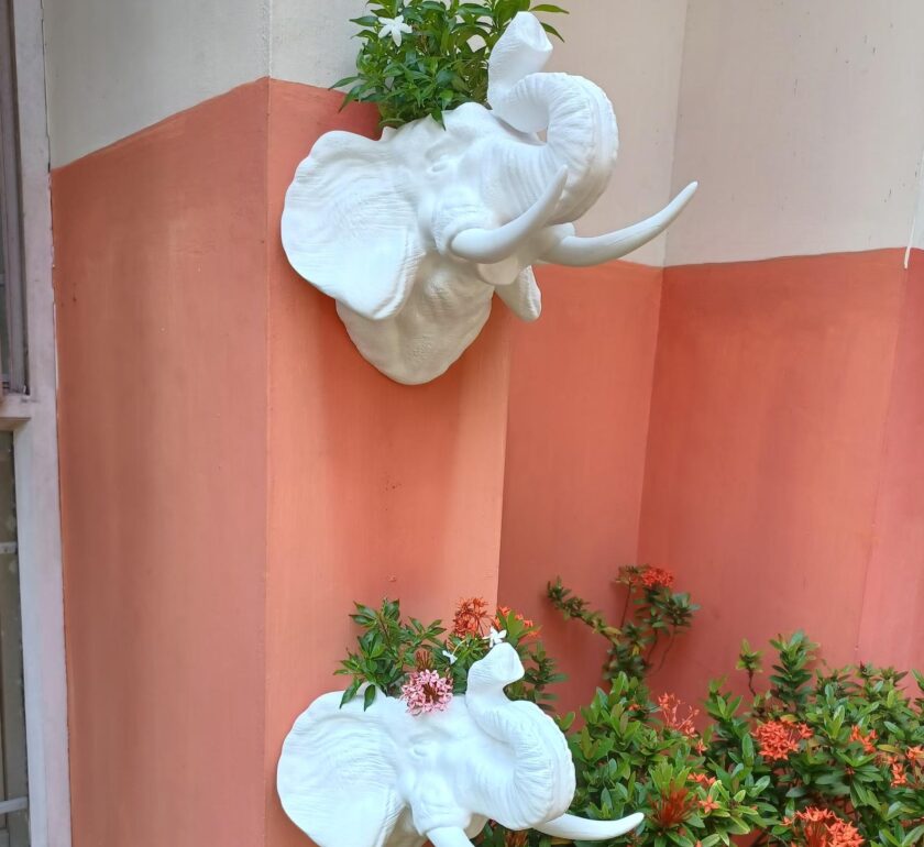 Elephant head wall planter, trunk raised,flower vase, pot, jungle animal Head decor, home & living,safari, succulent,cactus,, 3d printed - Image 2