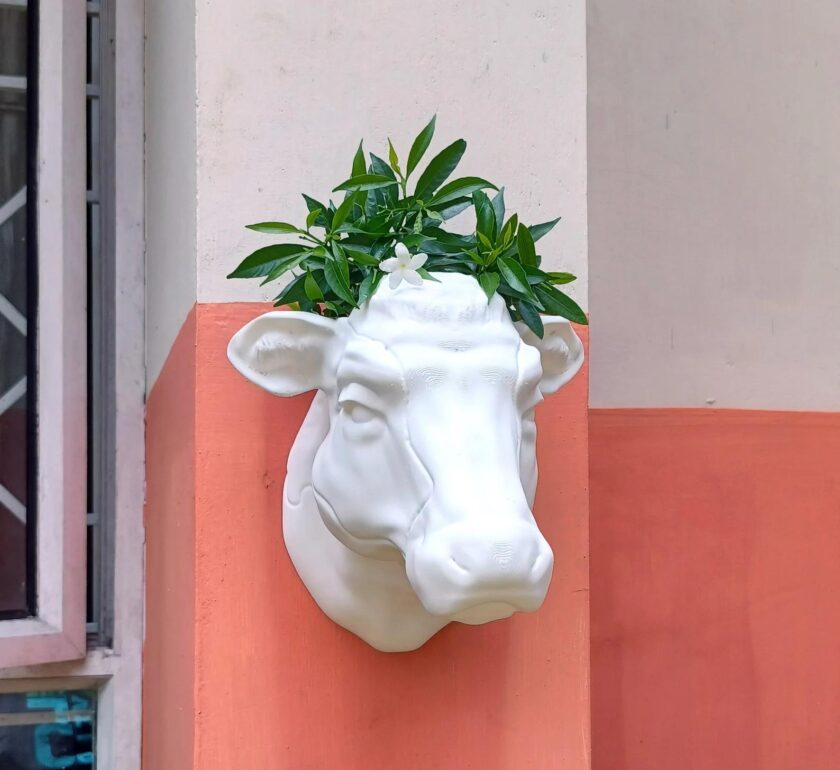 French cow planter wall mount farm and home decor, jersey cow head flower pot, flower vase