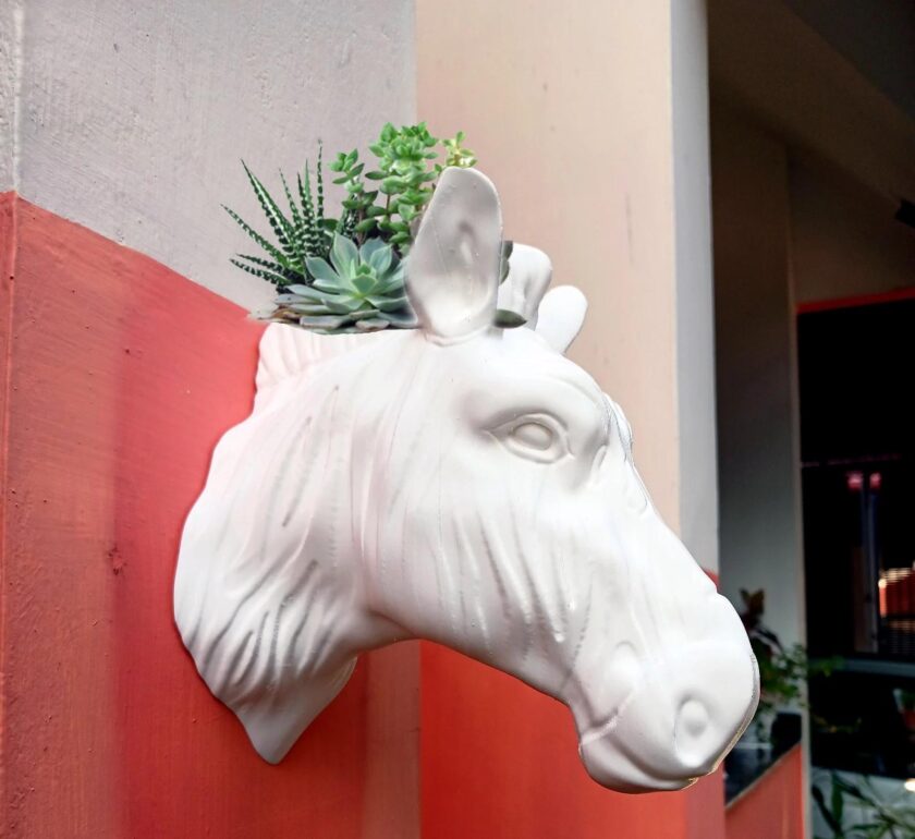 Zebra head planter,Wall Mounted 3d jungle animal Head Modern Decor,home decor, home & living,safari, flower vase, pot, wall hangings, horse - Image 6