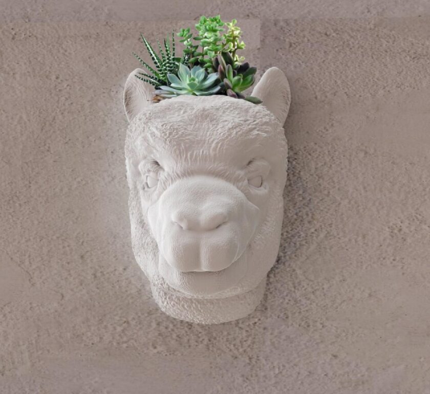 Llama head wall planter, wall mount, flower vase, pot, alpaca head, farm decor, farm animal decor - Image 4