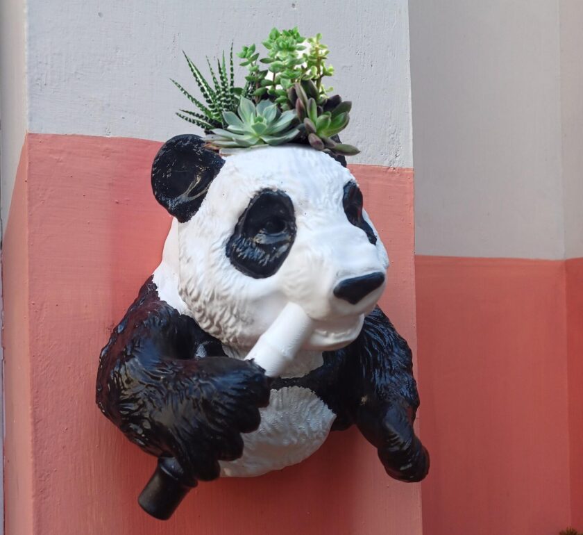 Panda head planter wall mount, black panda pot, bear head flower vase, white faux taxidermy, animal wall art, sculpture - Image 4