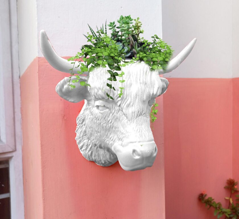 Highland cow wall mount planter, pot, flower vase and home decor, jersey cow head, farm decor, animal head wall decor, white faux taxidermy - Image 5