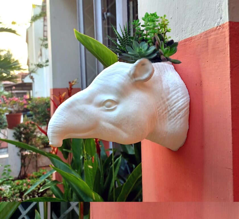 Tapir head planter wall mount, 3d jungle animal head , home and living,animal head wall mount outdoor and gardening, home decor, wall decor - Image 3