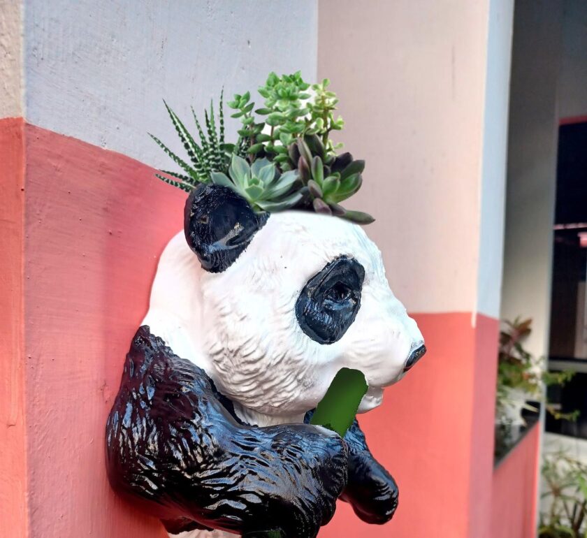 Panda head planter wall mount, black panda pot, bear head flower vase, white faux taxidermy, animal wall art, sculpture - Image 7