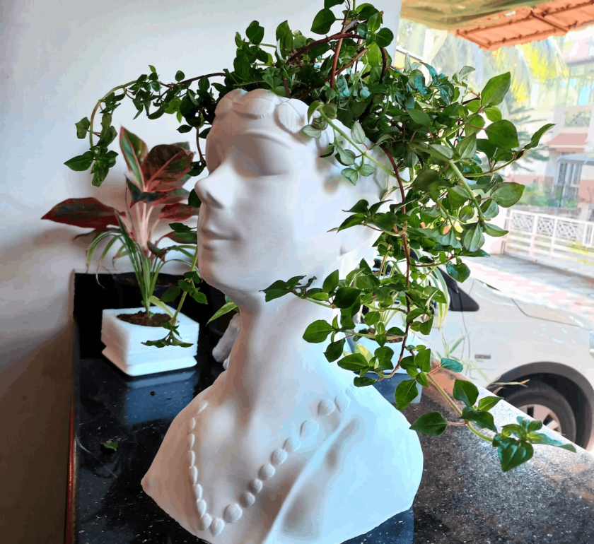 woman Head planter, face Planter, Cactus Planter, home and living, outdoor and gardening, planters and pots, indoor planters,