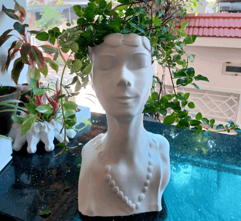 woman Head planter, face Planter, Cactus Planter, home and living, outdoor and gardening, planters and pots, indoor planters, - Image 5