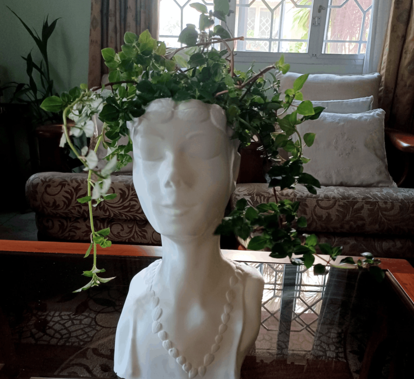 woman Head planter, face Planter, Cactus Planter, home and living, outdoor and gardening, planters and pots, indoor planters, - Image 4