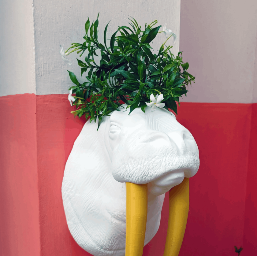 Walrus head planter, faux taxidermy,home & living, outdoor and gardening, planters and pots, indoor planter, succulent planter, head planter - Image 4