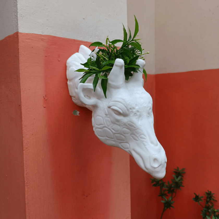 Giraffe head wall planter, white faux taxidermy, animal head vase, animal head flower pot, Giraffe art, Giraffe decor, home decor - Image 3