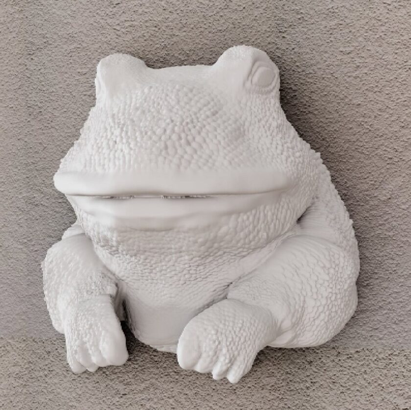 Bull Frog head wall mount, toad head, home decor, tadpole animal decor, reptile, art