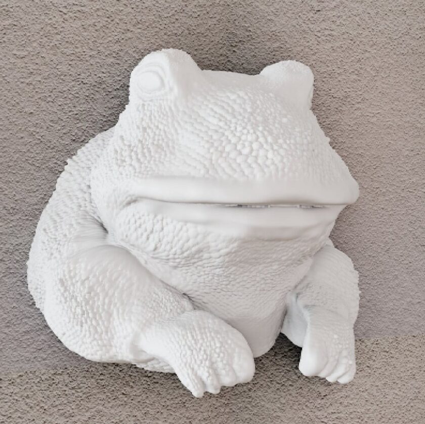 Bull Frog head wall mount, toad head, home decor, tadpole animal decor, reptile, art - Image 3