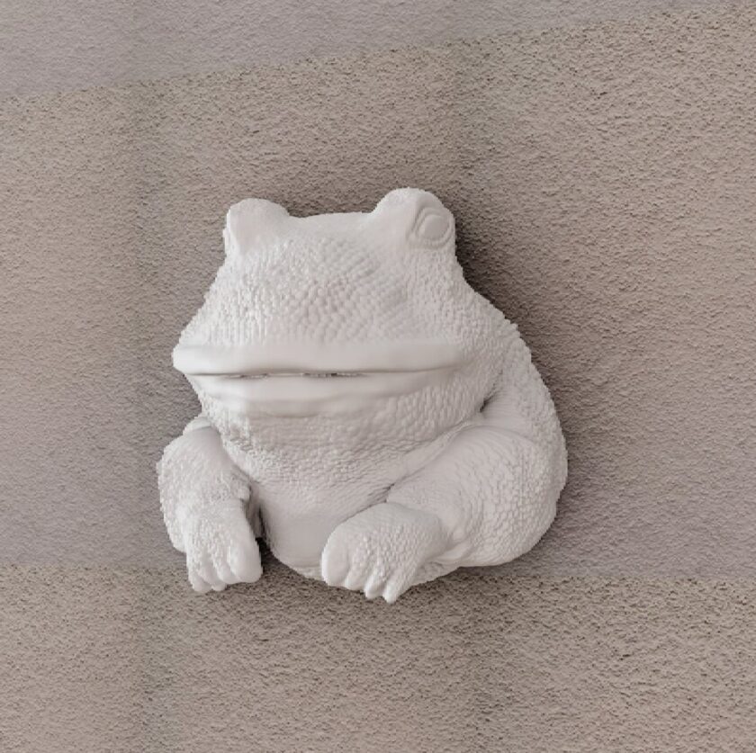 Bull Frog head wall mount, toad head, home decor, tadpole animal decor, reptile, art - Image 2