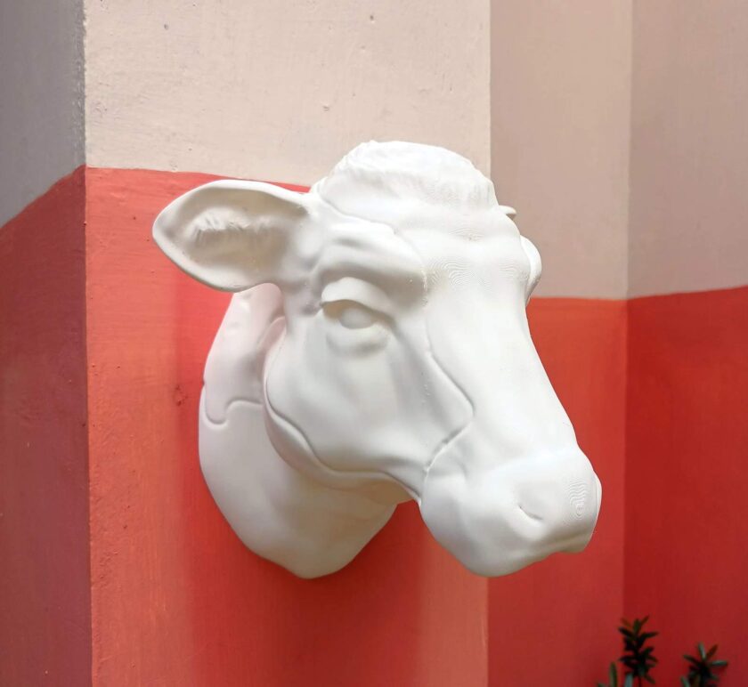 French cow wall mount farm and home decor, jersey cow head - Image 3