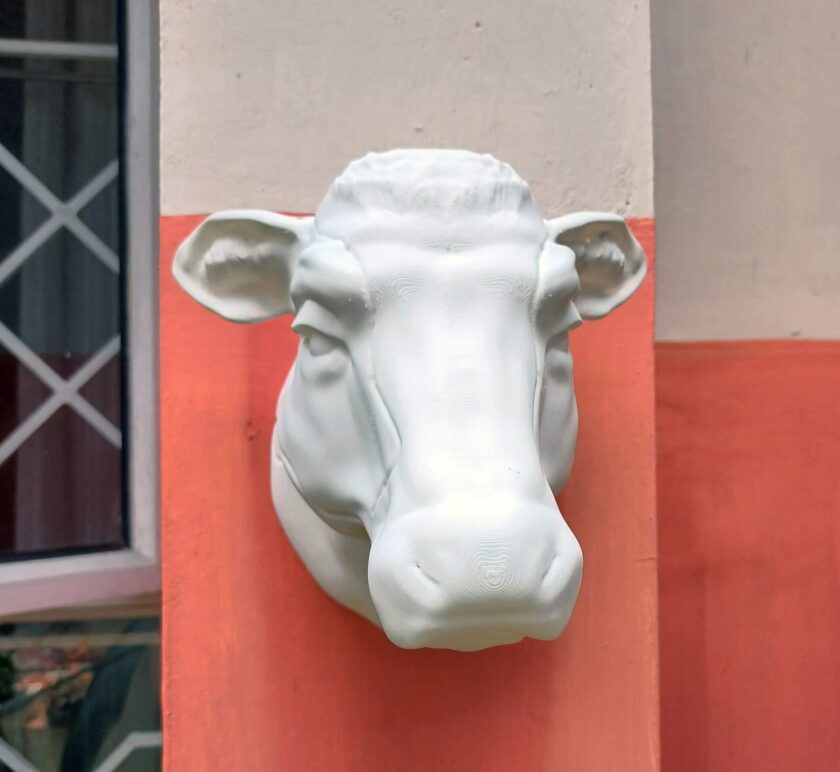 French cow wall mount farm and home decor, jersey cow head - Image 2