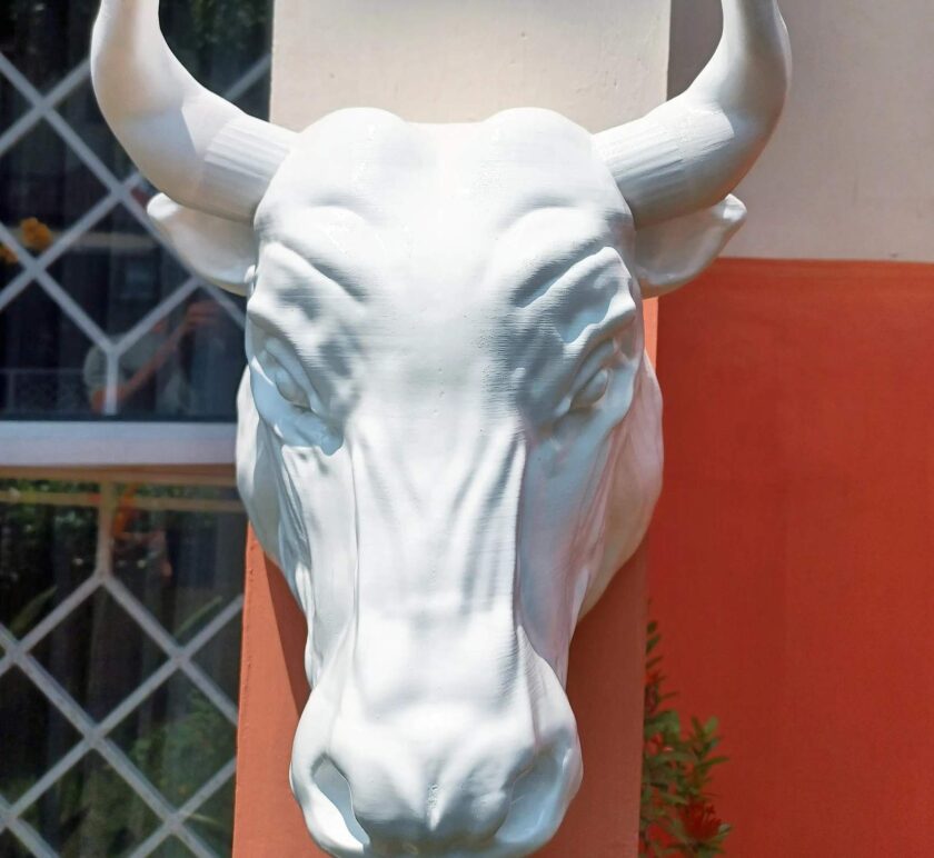 Bull head wall mount farm and home decor - Image 4