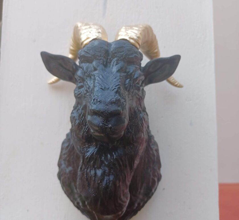 Goat head wall mount, farm decor, farm animal decor - Image 4