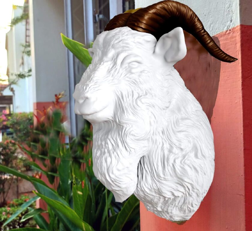 Goat head wall mount, farm decor, farm animal decor - Image 3