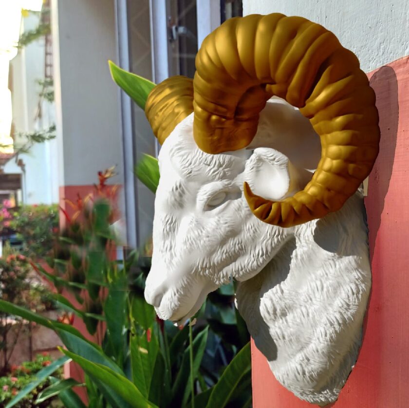 Ram head wall mount, farm decor, mountain Ram - Image 8