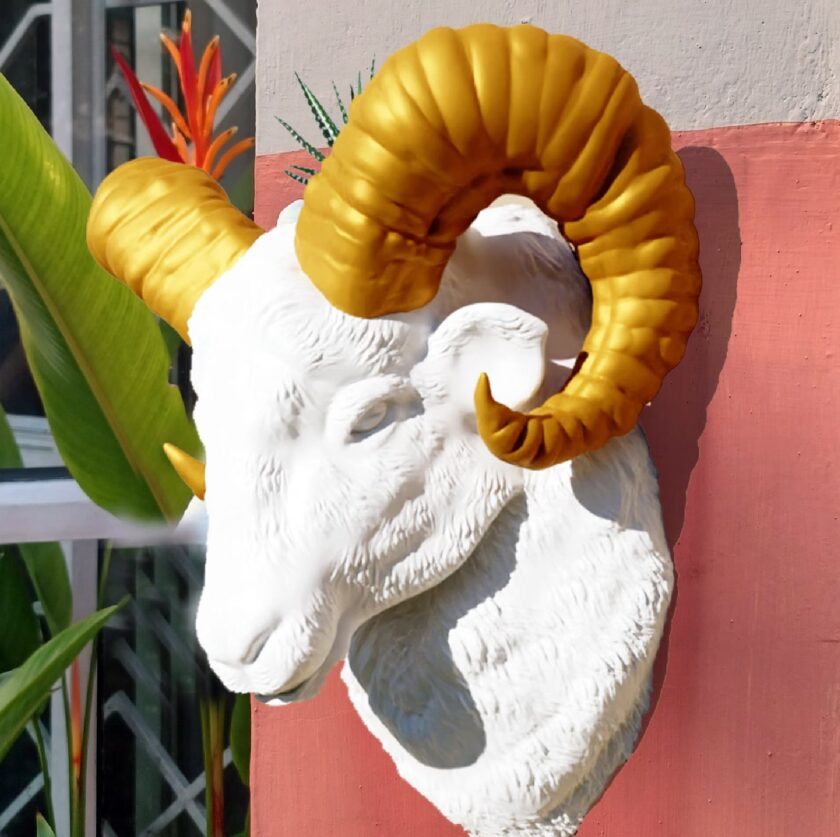 Ram head wall mount, farm decor, mountain Ram